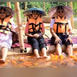 Munnar nearby attractions