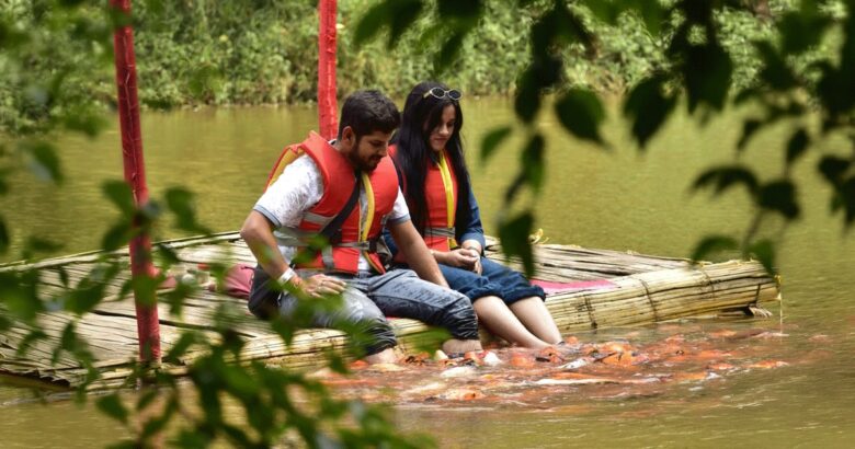 Best Places to Visit in Munnar with Family
